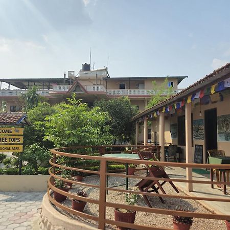 Hotel Tree Tops 사우라하 외부 사진