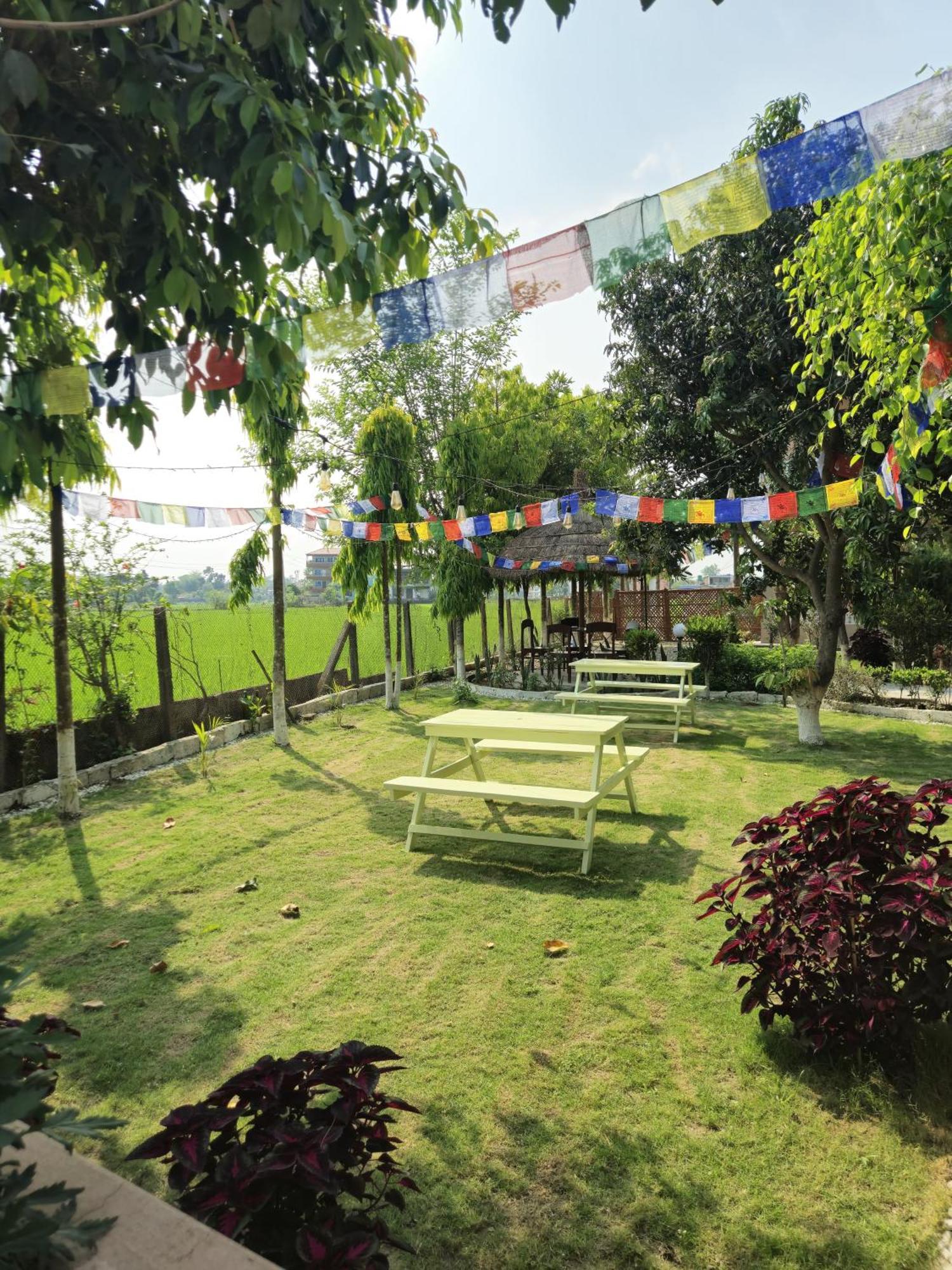 Hotel Tree Tops 사우라하 외부 사진