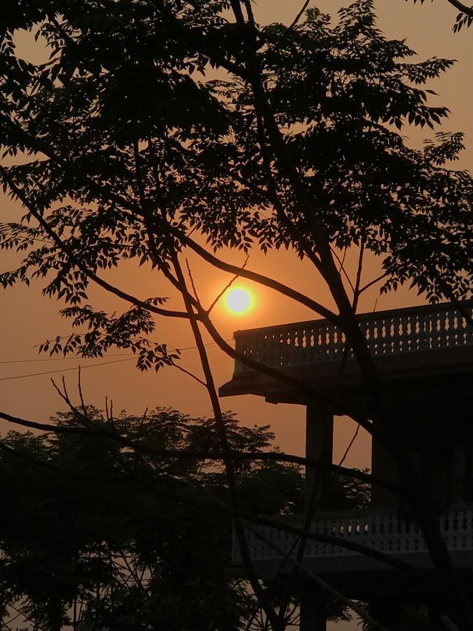Hotel Tree Tops 사우라하 외부 사진